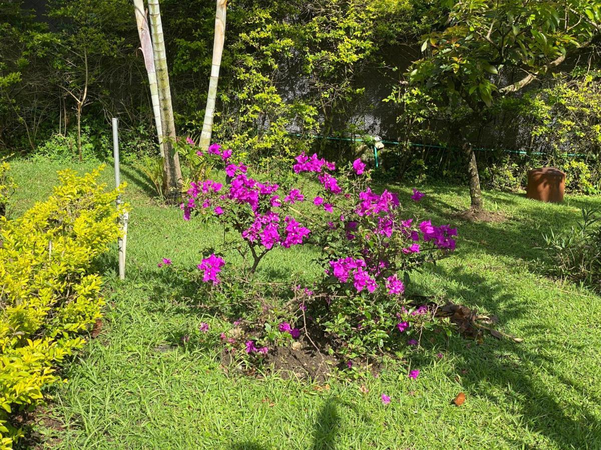 Finca Villa Chalet Del Rio Cali Farm Villa Chalet Cali River Екстериор снимка